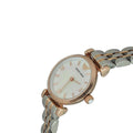 Shop Authentic Emporio Armani Gianni Mother of Pearl Dial Two Tone Steel Strap Watch For Women - AR1764 - Luxxuri
