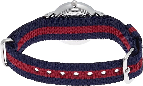 Shop Authentic Daniel Wellington Classy Oxford White Dial Two Tone Nylon Strap Watch For Women - DW00100072 - Luxxuri