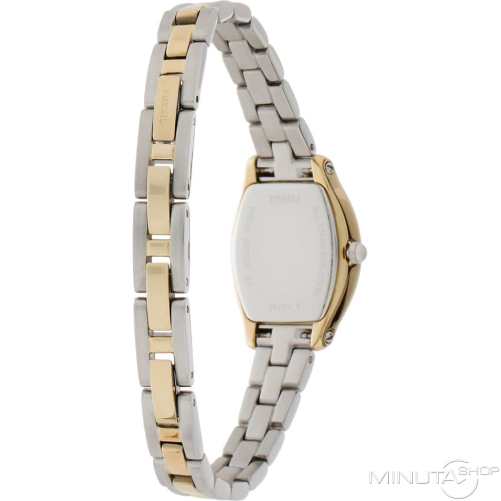 Shop Authentic Fossil Molly Silver Dial Two Tone Steel Strap Watch for Women - ES3287 - Luxxuri