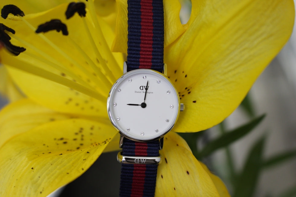 Shop Authentic Daniel Wellington Classy Oxford White Dial Two Tone Nylon Strap Watch For Women - DW00100072 - Luxxuri