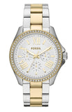  Shop Authentic Fossil Cecile White Dial Two Tone Steel Strap Watch for Women - AM4543 - Luxxuri