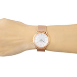  Shop Authentic Calvin Klein Minimal White Dial Rose Gold Mesh Bracelet Watch for Women - K3M22626 - Luxxuri