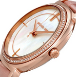  Shop Authentic Michael Kors Cinthia Mother of Pearl Dial Pink Leather Strap Watch for Women - MK2663 - Luxxuri
