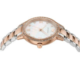  Shop Authentic Emporio Armani Cleo Mother of Pearl Dial Two Tone Steel Strap Watch For Women - AR11499 - Luxxuri