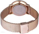  Shop Authentic Tommy Hilfiger Brooklyn Grey Dial Gold Mesh Bracelet Watch for Men - 1791506 - Luxxuri