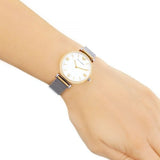  Shop Authentic Emporio Armani Gianni T Bar Mother of Pearl Dial Silver Mesh Bracelet Watch For Women - AR2068 - Luxxuri