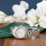  Shop Authentic Omega Seamaster Aqua Terra Quartz Diamonds Mother of Pearl Dial Silver Steel Strap Watch for Women - 220.10.28.60.55.001 - Luxxuri