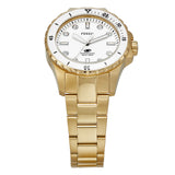 Shop Authentic Fossil Blue Dive Three Hand White Dial Gold Steel Strap Watch For Women - ES5350 - Luxxuri