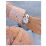  Shop Authentic Tommy Hilfiger Lynn Quartz White Dial Two Tone Steel Strap Watch For Women - 1782236 - Luxxuri