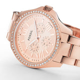  Shop Authentic Fossil Cecile Rose Gold Dial Rose Gold Steel Strap Watch for Women - AM4483 - Luxxuri