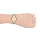  Shop Authentic Michael Kors Lennox Three-Hand Gold Dial Two Tone Steel Strap Watch For Women  - MK6988 - Luxxuri