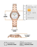  Shop Authentic Emporio Armani Three Hand Quartz Mother of Pearl Dial Two Tone Steel Strap Watch For Women - AR11569 - Luxxuri