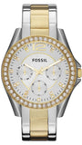  Shop Authentic Fossil Riley White Dial Two Tone Steel Strap Watch for Women - ES3204 - Luxxuri