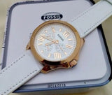  Shop Authentic Fossil Cecile White Dial White Leather Strap Watch for Women - AM4486 - Luxxuri