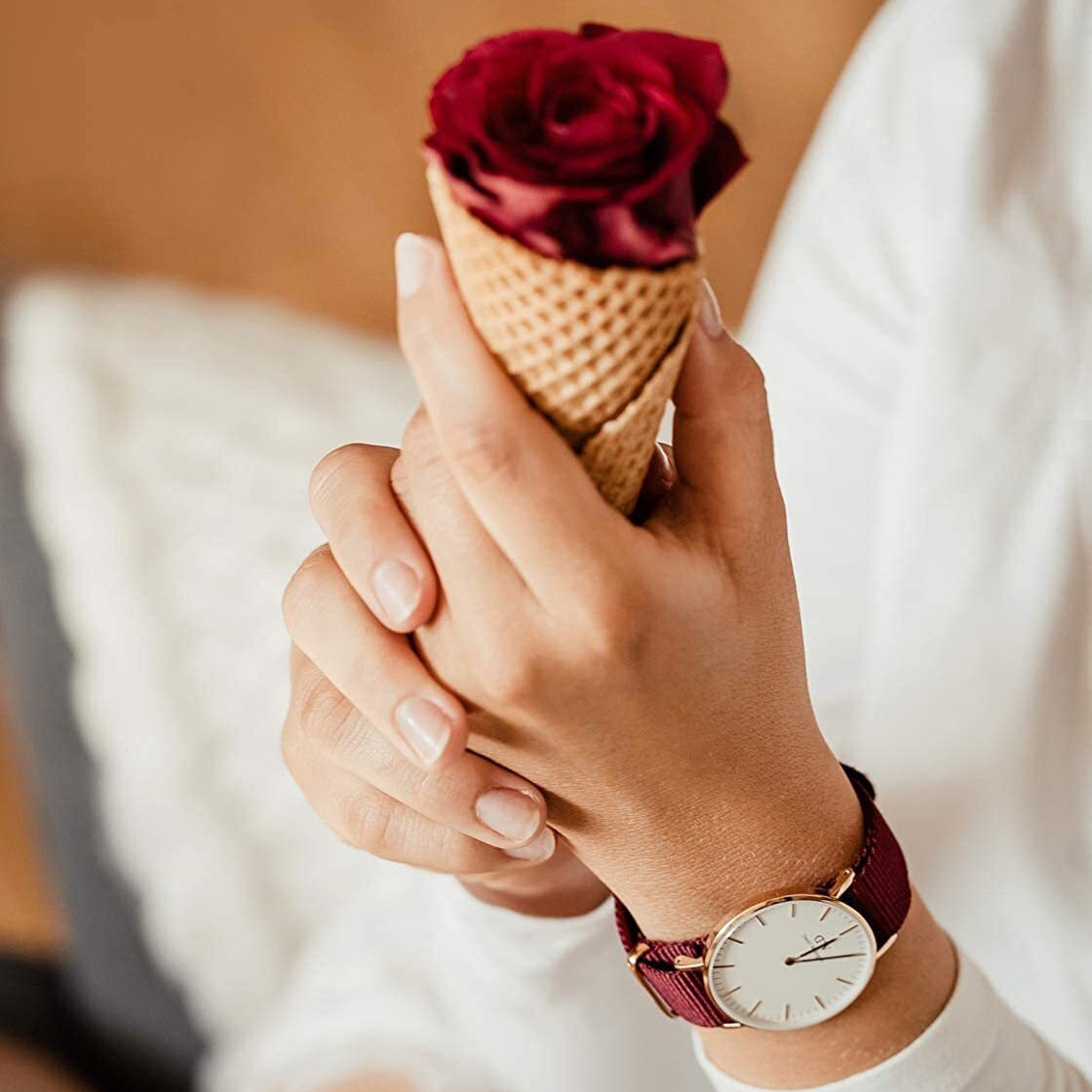  Shop Authentic Daniel Wellington Classic Roselyn White Dial Red NATO Strap Watch For Women - DW00100271 - Luxxuri