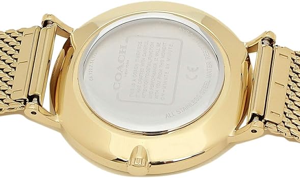Coach Perry Silver Dial Gold Mesh Bracelet Watch for Women - 14503385