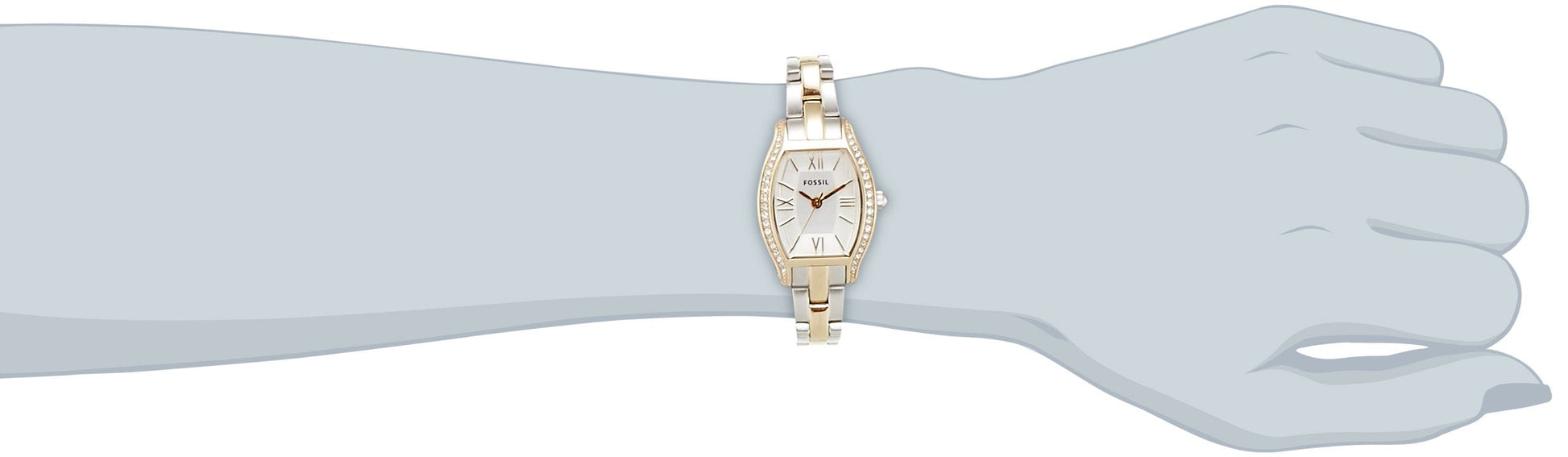  Shop Authentic Fossil Molly Silver Dial Two Tone Steel Strap Watch for Women - ES3287 - Luxxuri