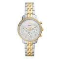  Shop Authentic Fossil Neutra Chronograph Mother of Pearl White Dial Two Tone Steel Strap Watch for Women - ES5216 - Luxxuri