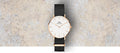  Shop Authentic Daniel Wellington Classic Petite Cornwall White Dial Green NATO Strap Watch For Women - DW00100253 - Luxxuri