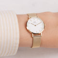  Shop Authentic Daniel Wellington Classic Petite Evergold White Dial Gold Mesh Bracelet Watch For Women - DW00100350 - Luxxuri
