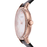  Shop Authentic Emporio Armani Cleo Three-Hand Mother of Pearl Dial Black Leather Strap Watch For Women - AR11485 - Luxxuri