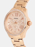  Shop Authentic Fossil Cecile Rose Gold Dial Rose Gold Steel Strap Watch for Women - AM4483 - Luxxuri