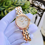  Shop Authentic Tissot Le Locle Automatic Lady Mother of Pearl Dial Two Tone Steel Strap Watch For Women - T006.207.22.116.00 - Luxxuri