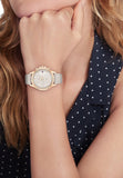  Shop Authentic Tommy Hilfiger Angela Quartz Silver Dial Brown Leather Strap Watch for Women - 1782125 - Luxxuri
