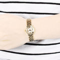  Shop Authentic Marc Jacobs Amy Dinky White Dial Gold Steel Strap Watch for Women - MBM3226 - Luxxuri