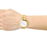  Shop Authentic Calvin Klein Class White Dial Gold Steel Strap Watch for Women - K6R23526 - Luxxuri