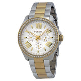  Shop Authentic Fossil Cecile White Dial Two Tone Steel Strap Watch for Women - AM4543 - Luxxuri