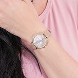  Shop Authentic Emporio Armani Kappa Quartz Mother of Pearl Taupe Dial Brown Leather Strap Watch For Men - AR11151 - Luxxuri
