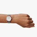  Shop Authentic Emporio Armani Retro Mother of Pearl Dial Silver Mesh Bracelet Watch For Women - AR2067 - Luxxuri