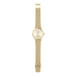  Shop Authentic Armani Exchange Lola Analog Gold Dial Gold Mesh Strap Watch For Women - AX5536 - Luxxuri