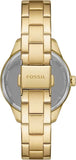  Shop Authentic Fossil Rye Automatic Skeleton Gold Dial Gold Steel Strap Watch for Women - BQ3755 - Luxxuri