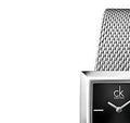 Shop Authentic Calvin Klein Mark Black Dial Silver Mesh Bracelet Watch for Women - K3R23121 - Luxxuri