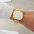  Shop Authentic Calvin Klein Minimal Silver Dial Gold Mesh Bracelet Watch for Women - K3M22526 - Luxxuri
