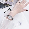  Shop Authentic Calvin Klein Snake Silver Dial Silver Steel Strap Watch For Women - K6E23146 - Luxxuri