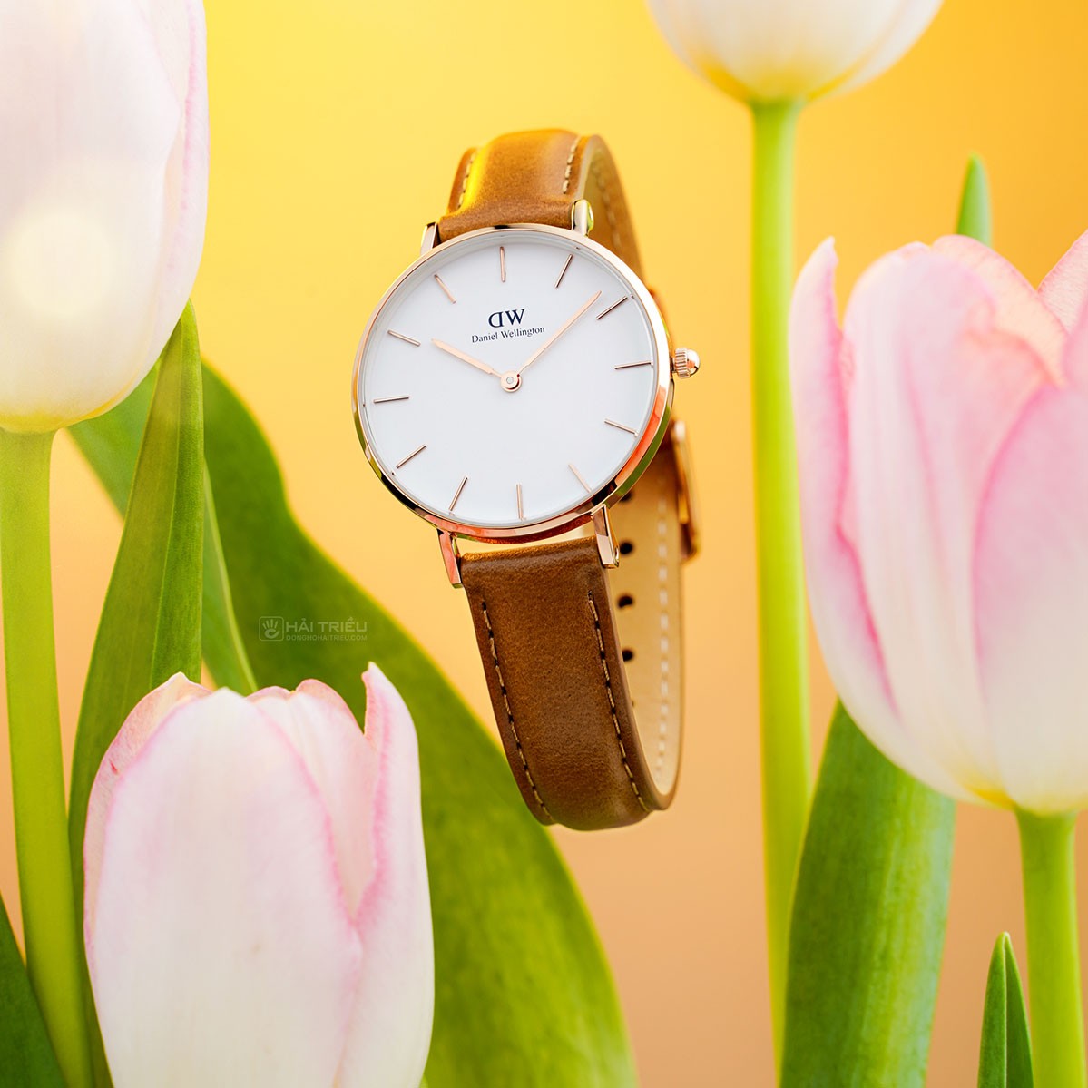  Shop Authentic Daniel Wellington Petite Durham White Dial Brown Leather Strap Watch For Women - DW00100172 - Luxxuri