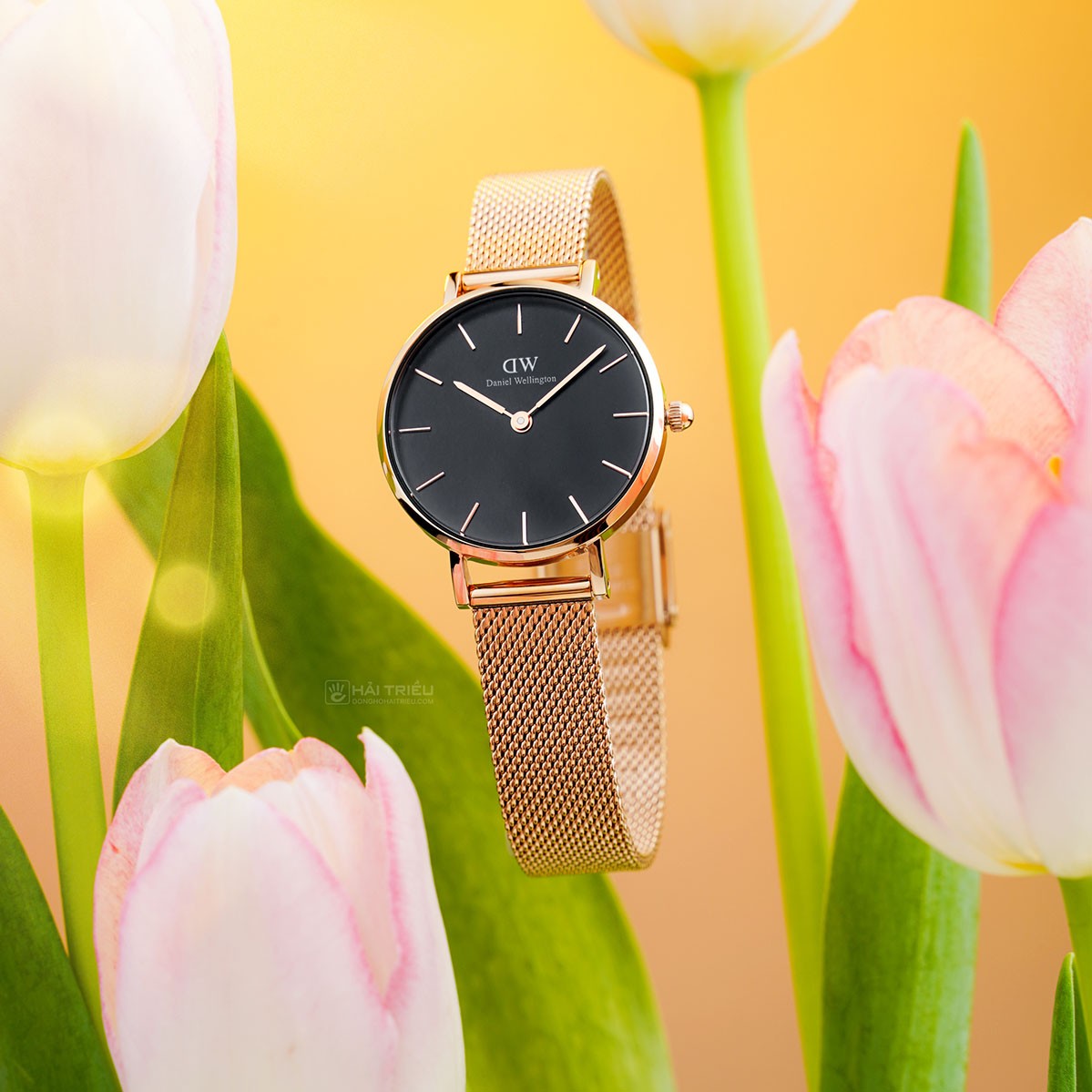  Shop Authentic Daniel Wellington Classic Petite Melrose Black Dial Rose Gold Mesh Bracelet Watch For Women - DW00100217 - Luxxuri