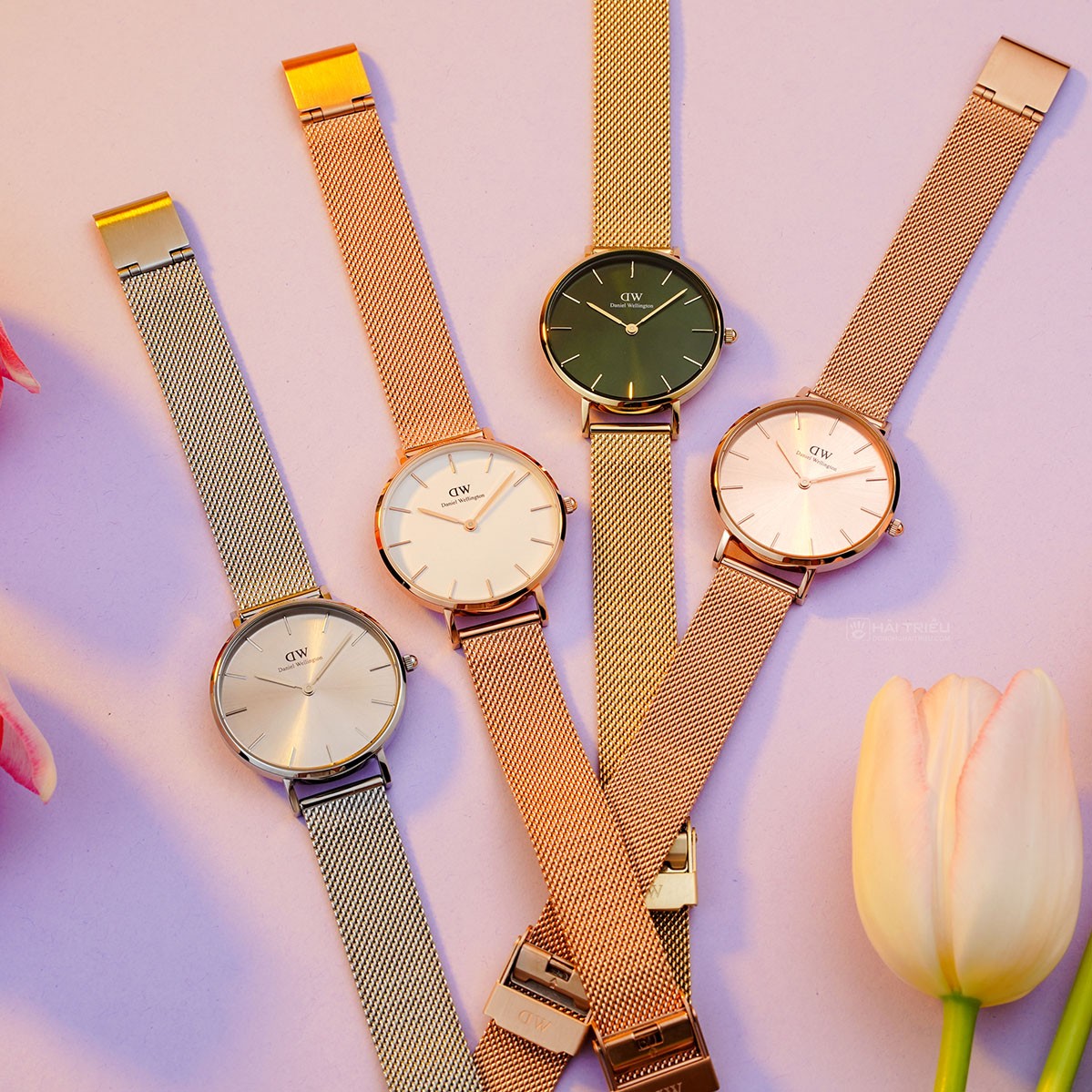 Daniel Wellington Petite Emerald Green Dial Gold Mesh Strap Watch For Women - DW00100480