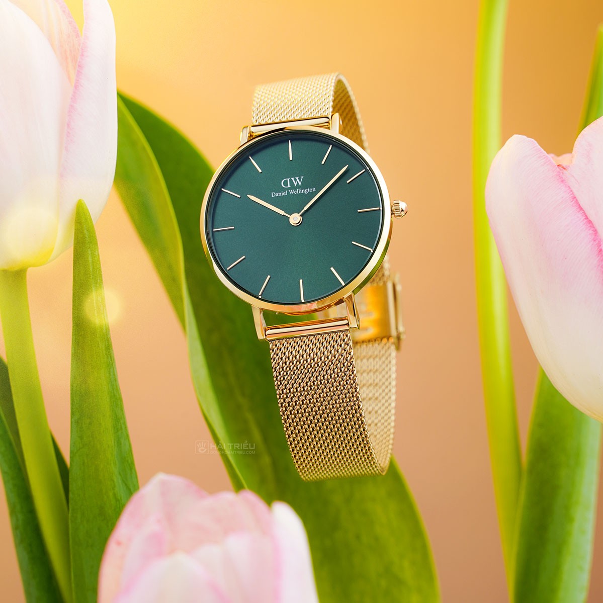 Daniel Wellington Petite Emerald Green Dial Gold Mesh Strap Watch For Women - DW00100480