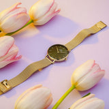  Shop Authentic Daniel Wellington Petite Emerald Green Dial Gold Mesh Strap Watch For Women - DW00100480 - Luxxuri