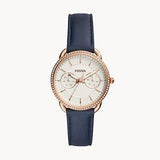  Shop Authentic Fossil Tailor White Dial Blue Leather Strap Watch for Women - ES4394 - Luxxuri