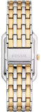  Shop Authentic Fossil Raquel Three Hand Mother of Pearl Dial Two Tone Steel Strap Watch For Women - ES5305 - Luxxuri
