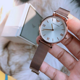  Shop Authentic Emporio Armani Gianni T Bar Silver Dial Rose Gold Mesh Bracelet Watch For Women - AR1956 - Luxxuri