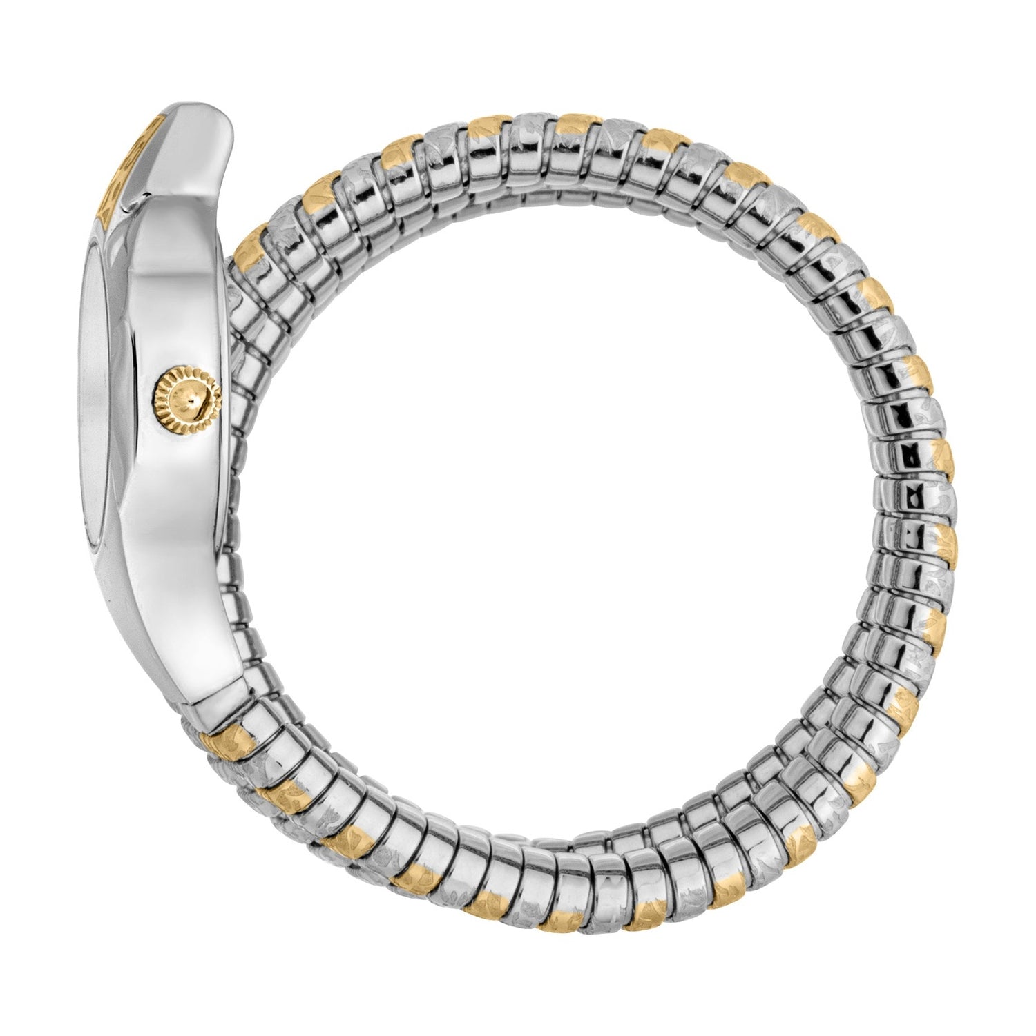 Just Cavalli Ravenna Silver Dial Two Tone Steel Strap Watch for Women - JC1L271M0055