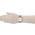  Shop Authentic Calvin Klein Stately White Dial Rose Gold Steel Strap Watch for Women - K3G23626 - Luxxuri