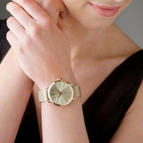  Shop Authentic Michael Kors Portia Gold Dial Gold Mesh Bracelet Watch for Women - MK3844 - Luxxuri