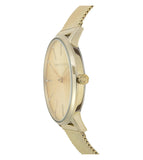  Shop Authentic Armani Exchange Lola Analog Gold Dial Gold Mesh Strap Watch For Women - AX5536 - Luxxuri